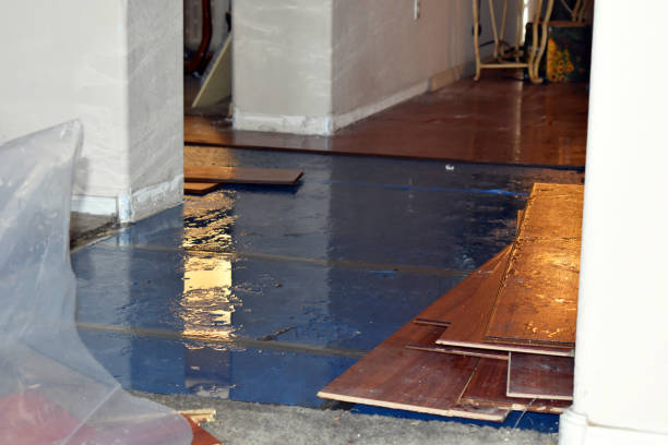 Professional Burst Pipe Cleanup technician working in Kansas City, KS